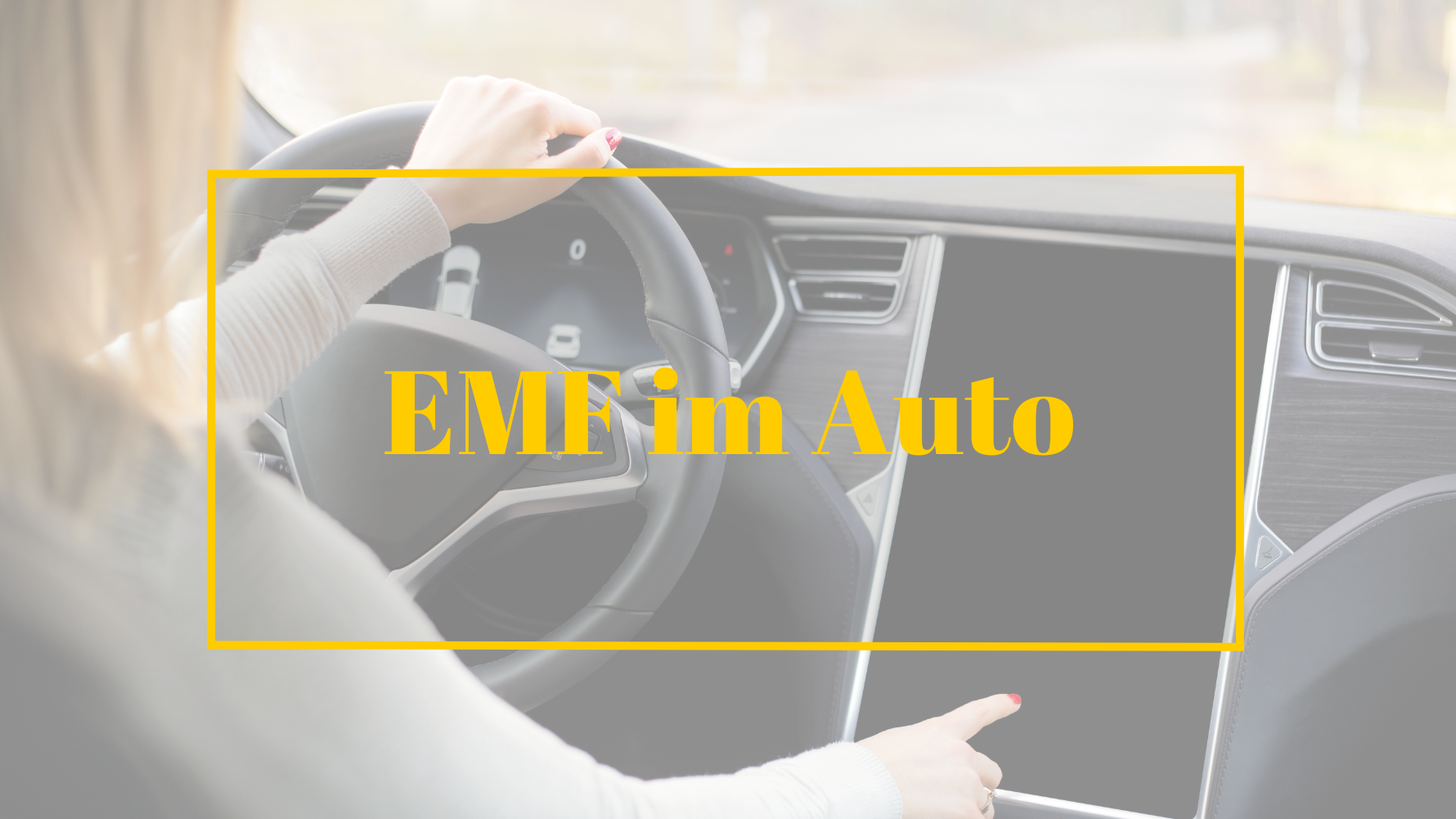 EMF im Auto