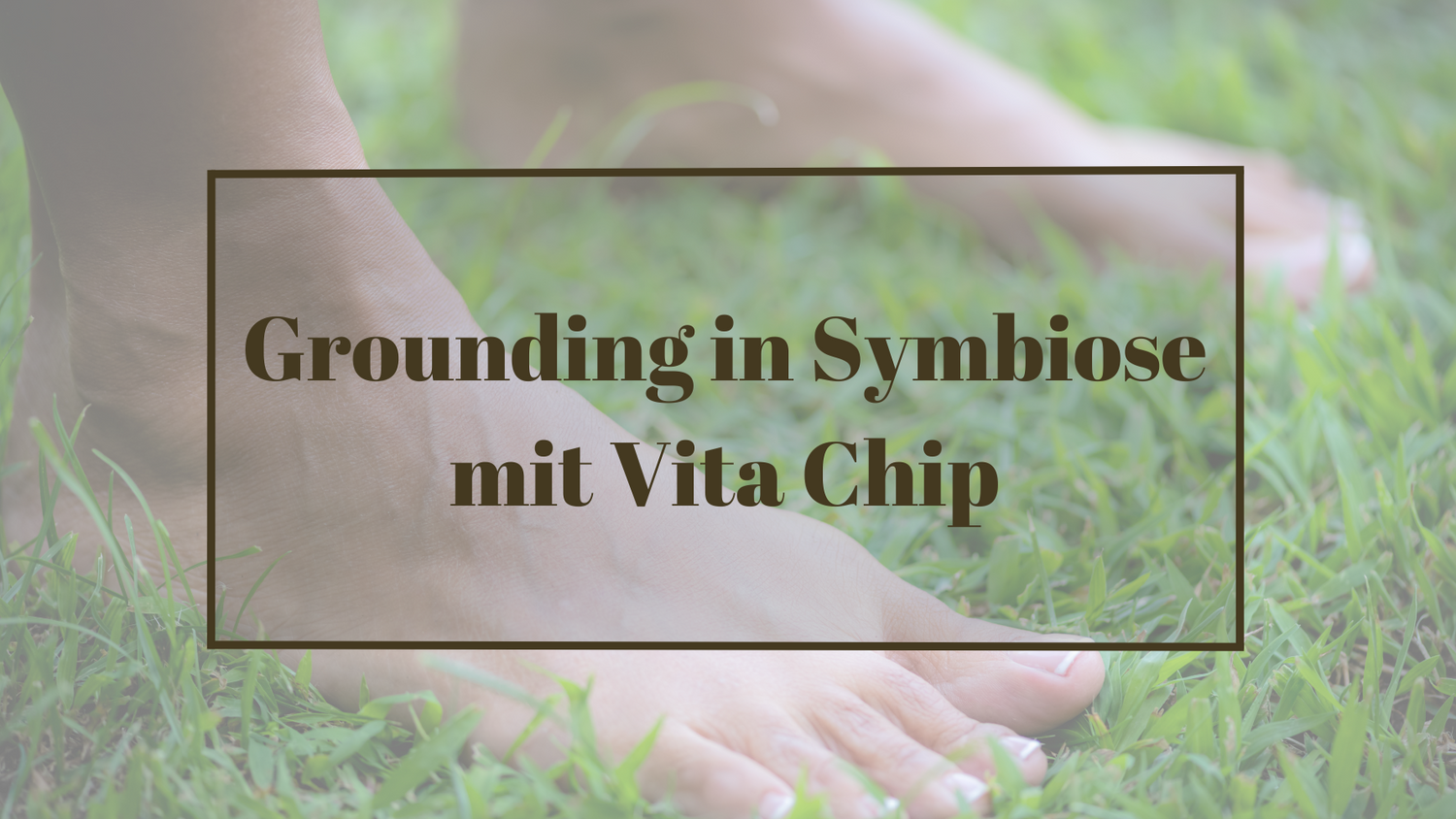 Grounding in Symbiose mit Vita Chip